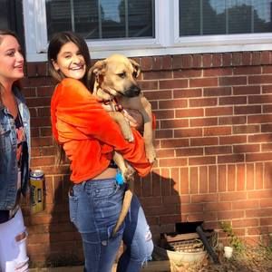 Meet your Posher, Alexa